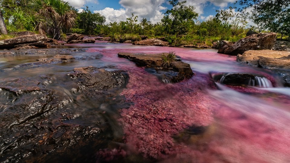 The colorful algae growing in the riverbed makes the water looks red. At the banks, there is a lush jungle.