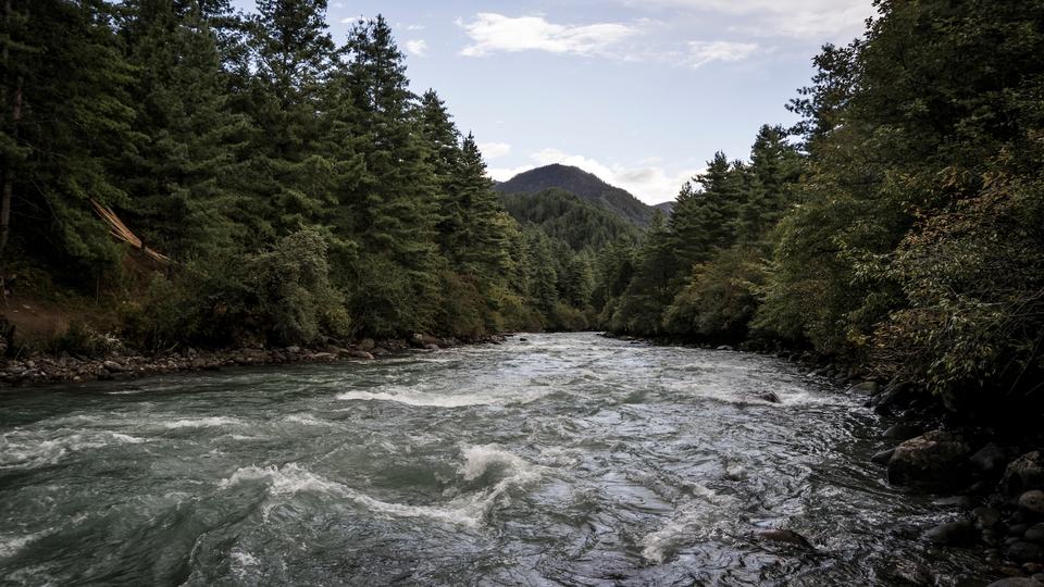 A large river flows between evergreen trees