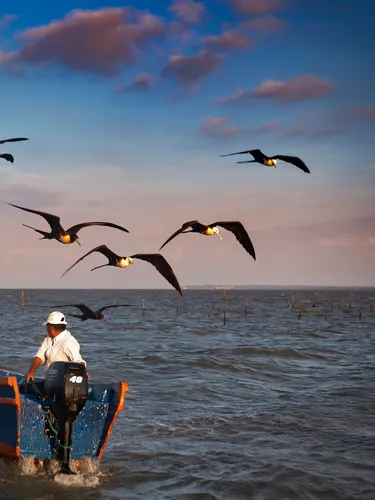 Two men stand in a small boat with an outboard motor while large birds fly overhead and the sun starts to set over the ocean