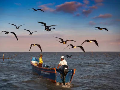 Two men stand in a small boat with an outboard motor while large birds fly overhead and the sun starts to set over the ocean