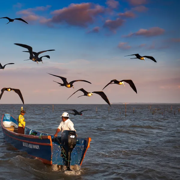 Two men stand in a small boat with an outboard motor while large birds fly overhead and the sun starts to set over the ocean