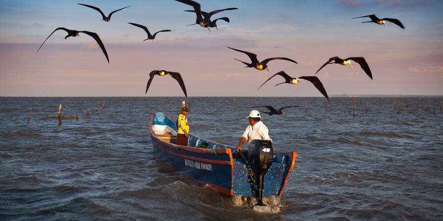 Two men stand in a small boat with an outboard motor while large birds fly overhead and the sun starts to set over the ocean