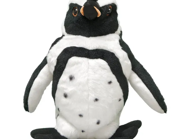 An African black-footed penguin against a white background