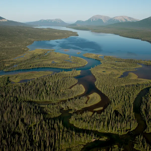 Aerial image of Bristol Bay, Alaska