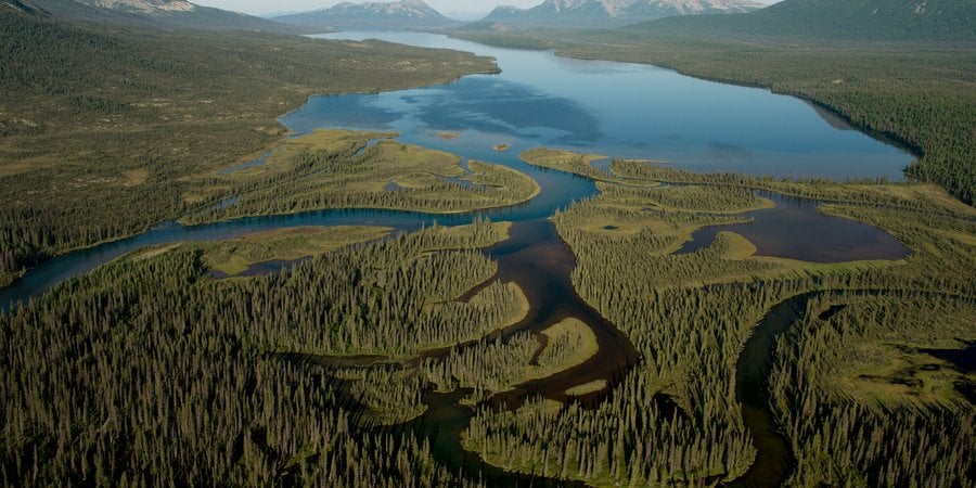 Aerial image of Bristol Bay, Alaska