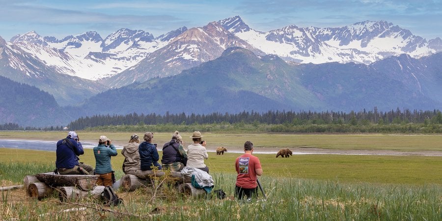 A group of people taking photos of bears in the distance