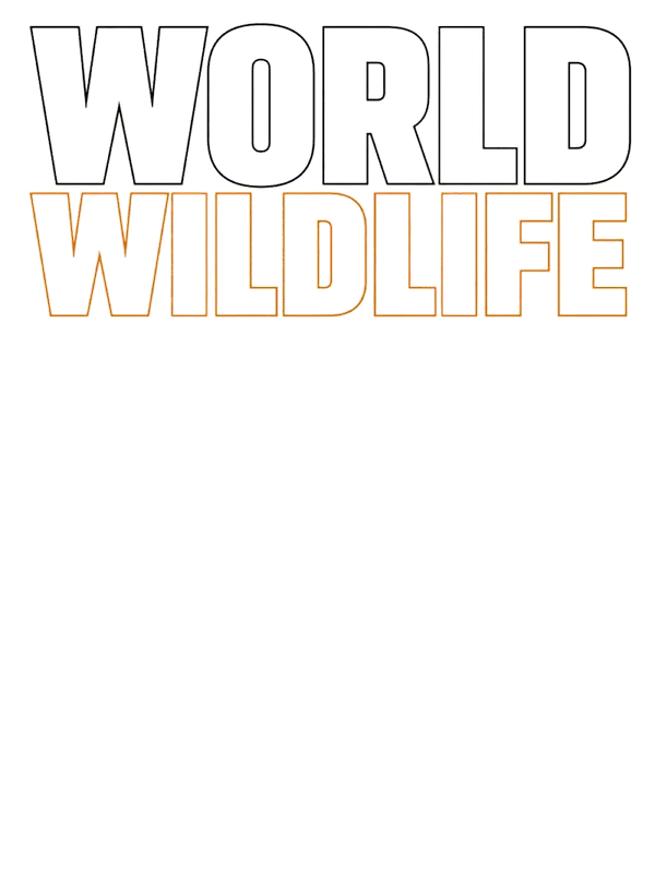 More World Wildlife