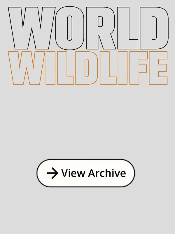 More World Wildlife