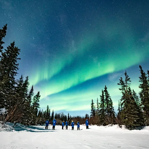 Bands of the aurora over the expedition team in a wooded area at night