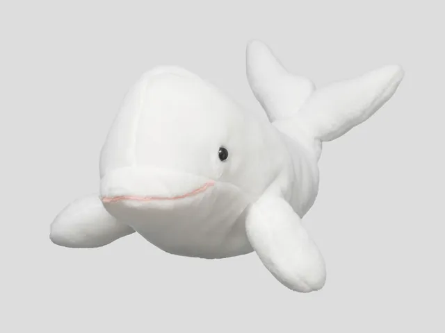A beluga whale plush against a gray background