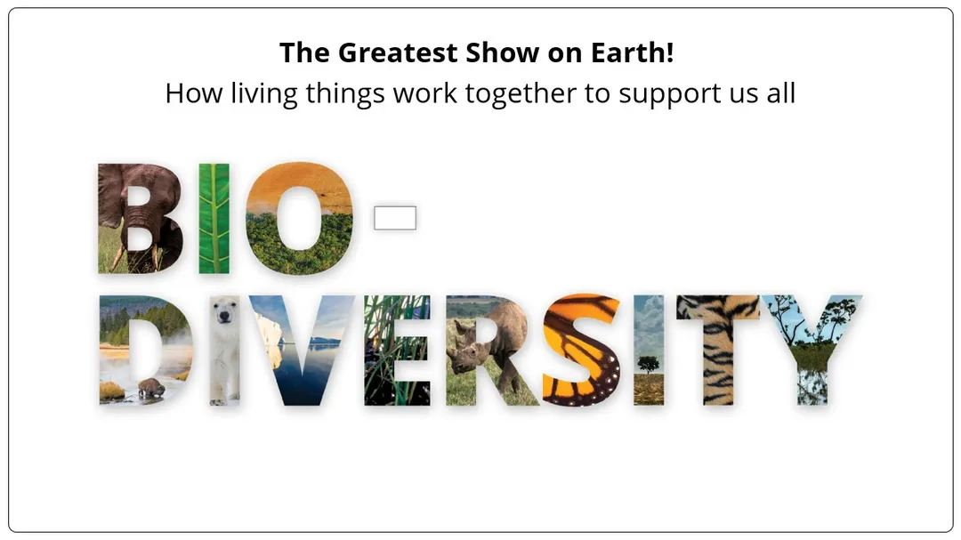 A image of a slide from the biodiversity class room presentation