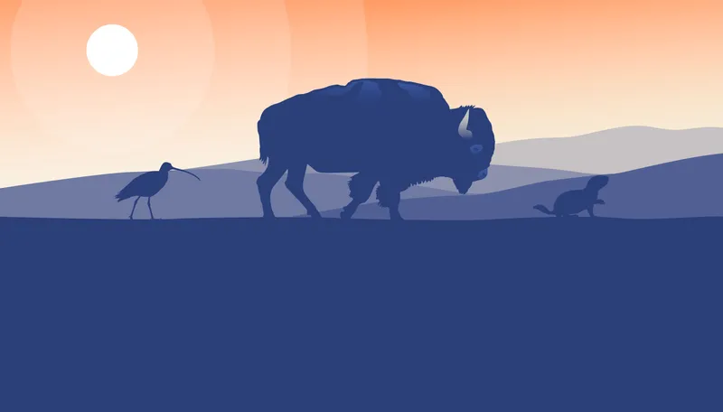 Illustration of bird, prairie dog, and bison