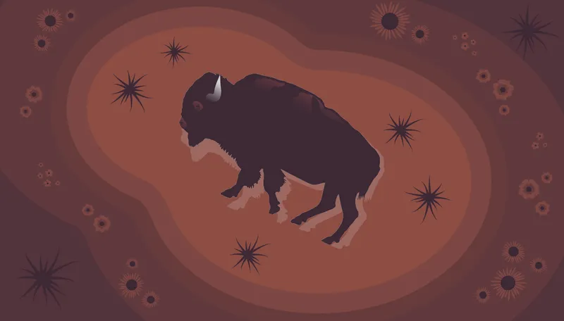 Illustration of a bison rolling in dust