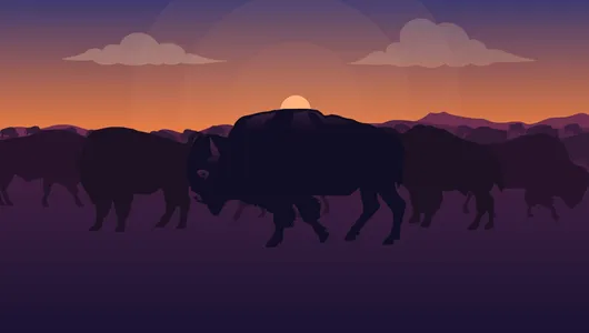 Illustration of large herd of bison