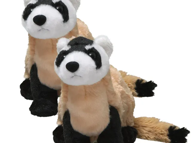 Two black-footed ferret plush against a white background