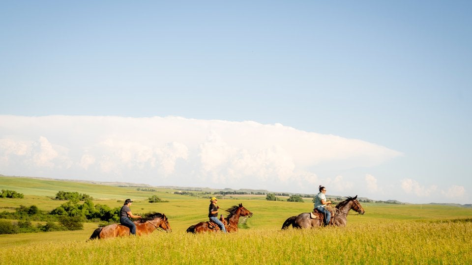 Three riders on horses in tall grasslands and blue skies
