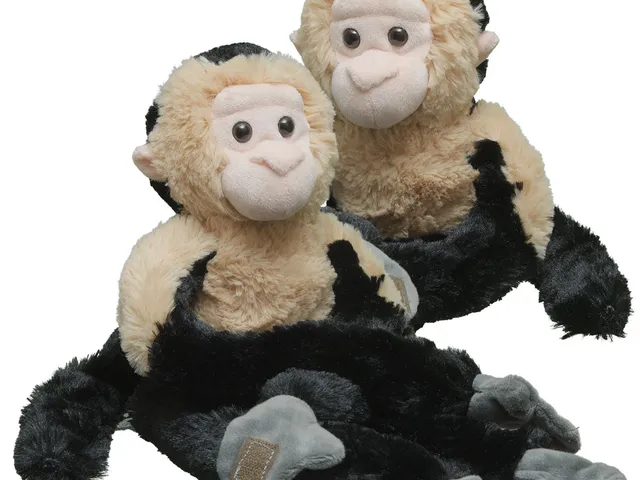 Two capuchin monkey plush against a white background