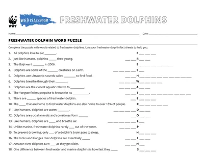 River Dolphin Word Puzzle Preview