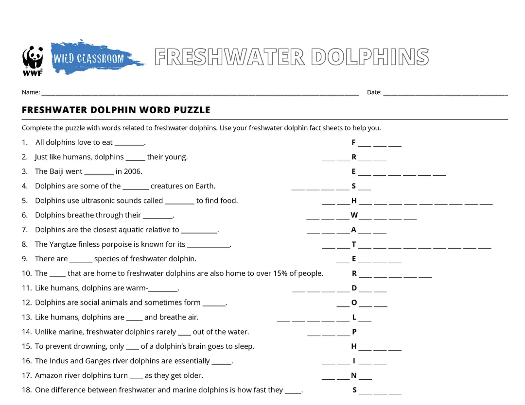 River Dolphin Word Puzzle Preview