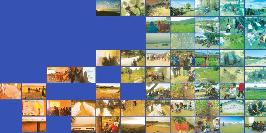 Collage of photos from Climate Crowd sites