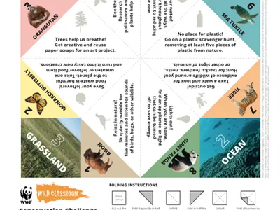 Conservation Challenge Cootie Catcher