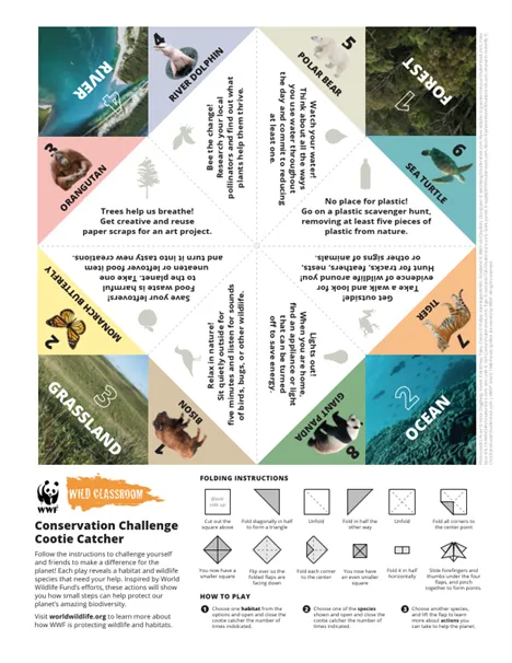 Conservation Challenge Cootie Catcher