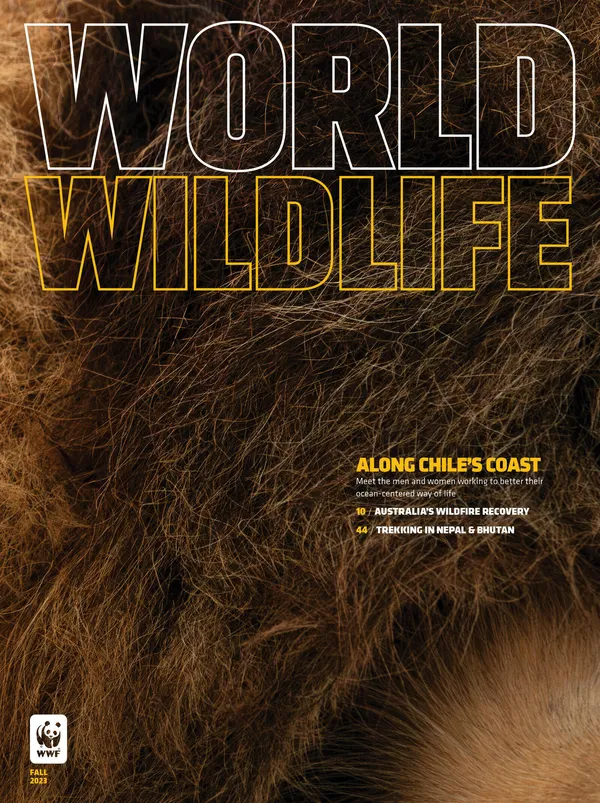 World Wildlife Magazine Fall 2023