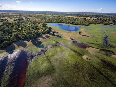 Aerial landscape showing grass, trees, and water