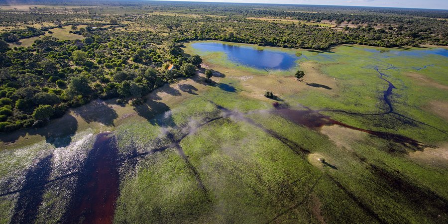 Aerial landscape showing grass, trees, and water
