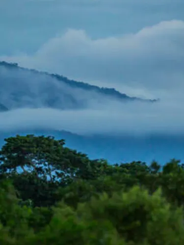 Landscape, at dusk, with trees mountains and clouds