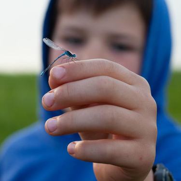 A boy holds out his hand where a blue dragonfly has landed