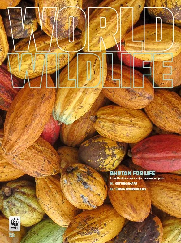 World Wildlife Fall 2025 magazine cover
