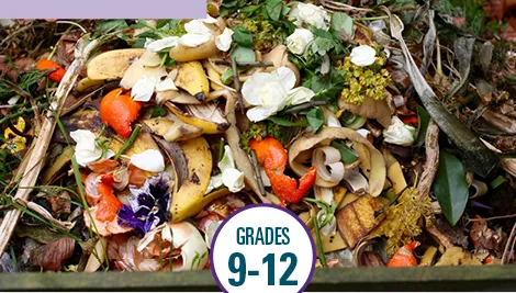 Food Waste Warriors 9-12 Toolkit