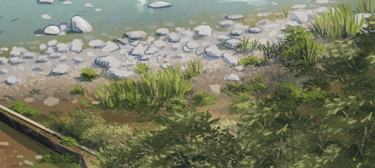 Illustration of planted floodplain along river
