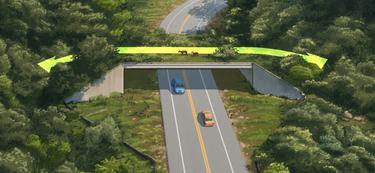 Illustration of an overpass over a road