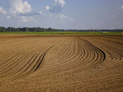 A plowed field with rich brown dirt