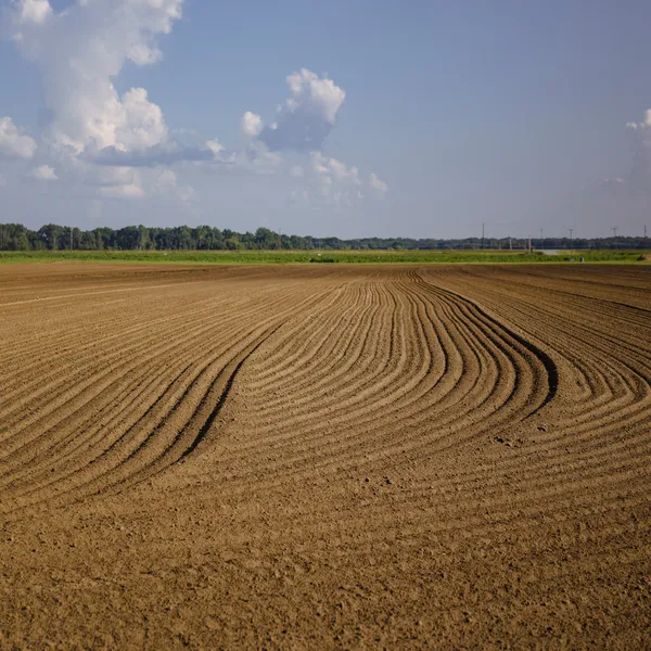 A plowed field with rich brown dirt