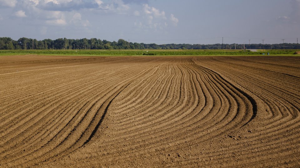 A plowed field with rich brown dirt