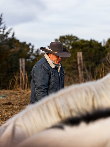 Man with hat in field examining livestock