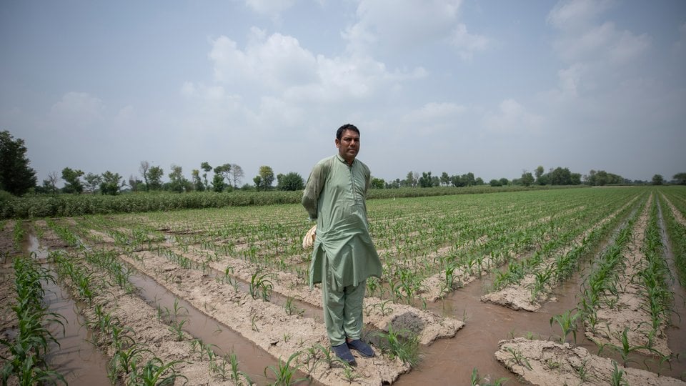 A man stands in the middle of an field with irrigation ditches