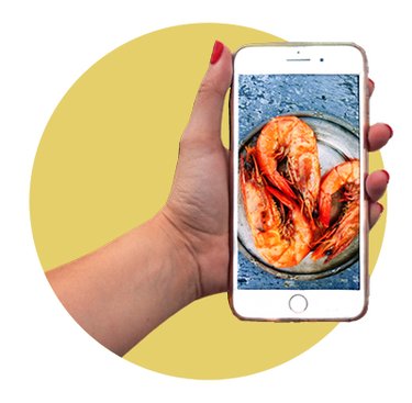 Illustration of a shrimp app