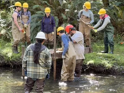 A group of adults building a short footbridge in the forest