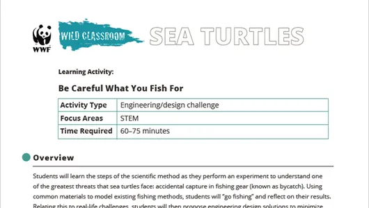 Be Careful What You Fish For preview