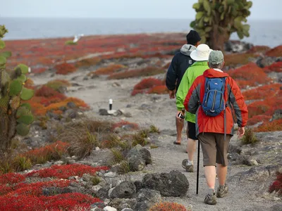 Tourists walking trail