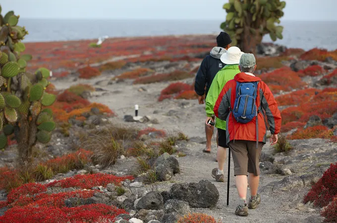Tourists walking trail