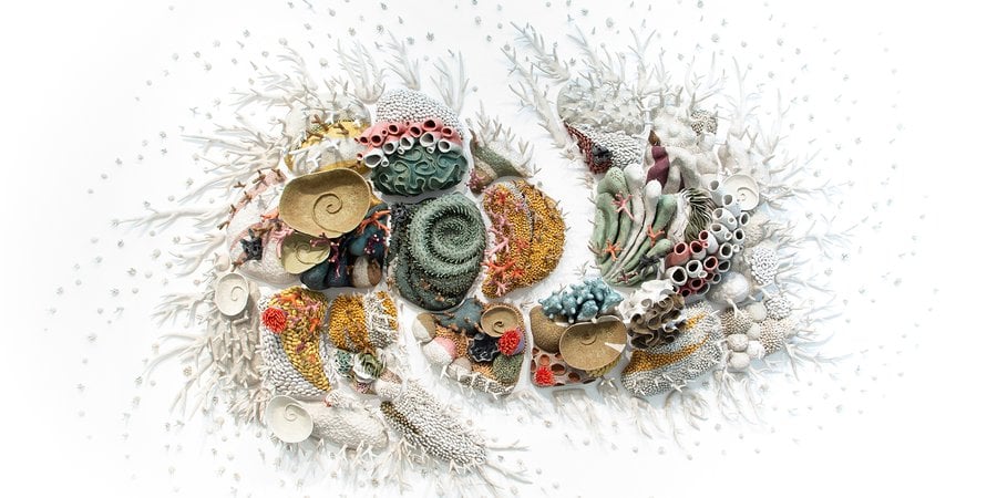 Coral sculptures radiating out from center point