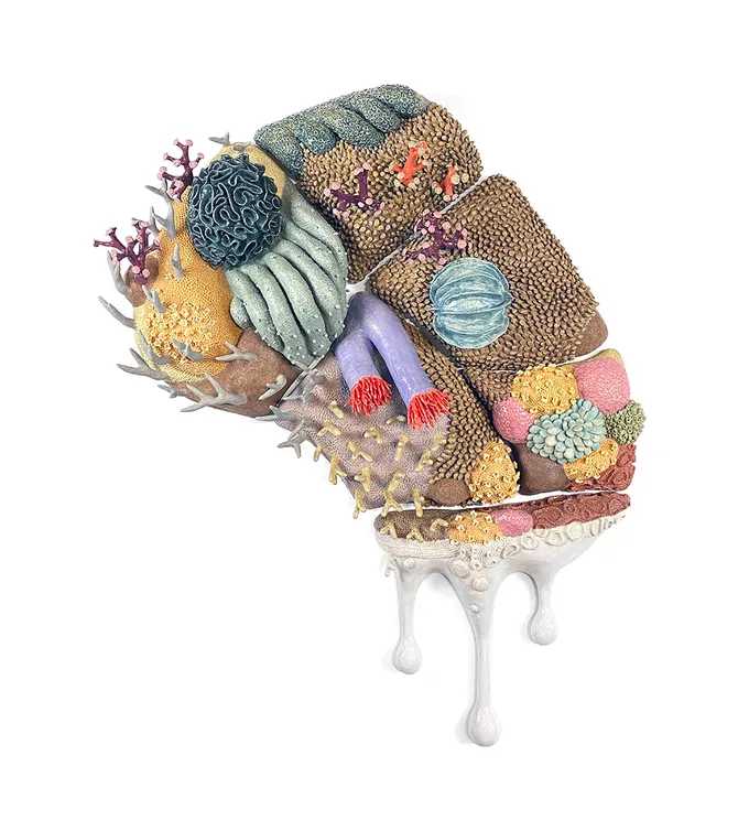 Colorful coral and shells seeming to melt down wall