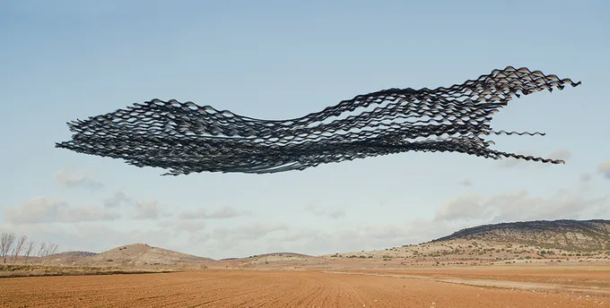 Birds in pattern of flight