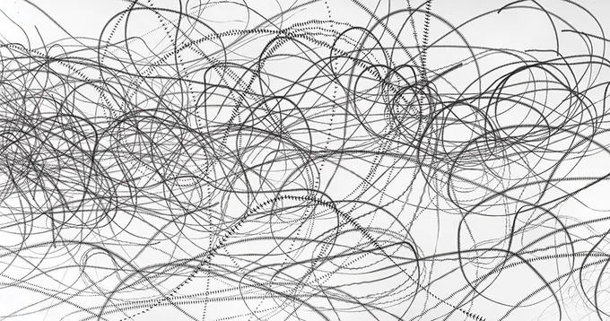 Birds in pattern of flight