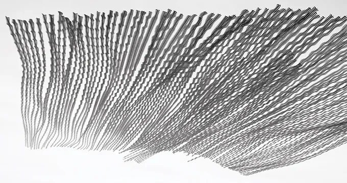 Birds in pattern of flight